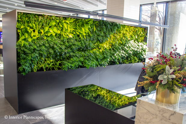 Images Interior Plantscapes