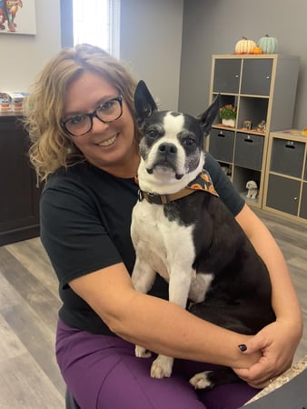 Images VCA Green Animal Hospital