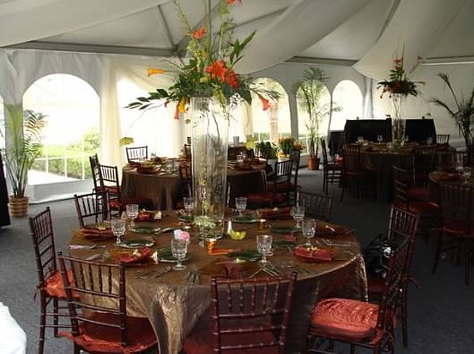 Images Party Plus Tents and Events