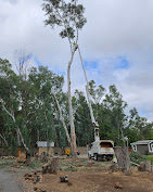 Alliance Tree Care Image