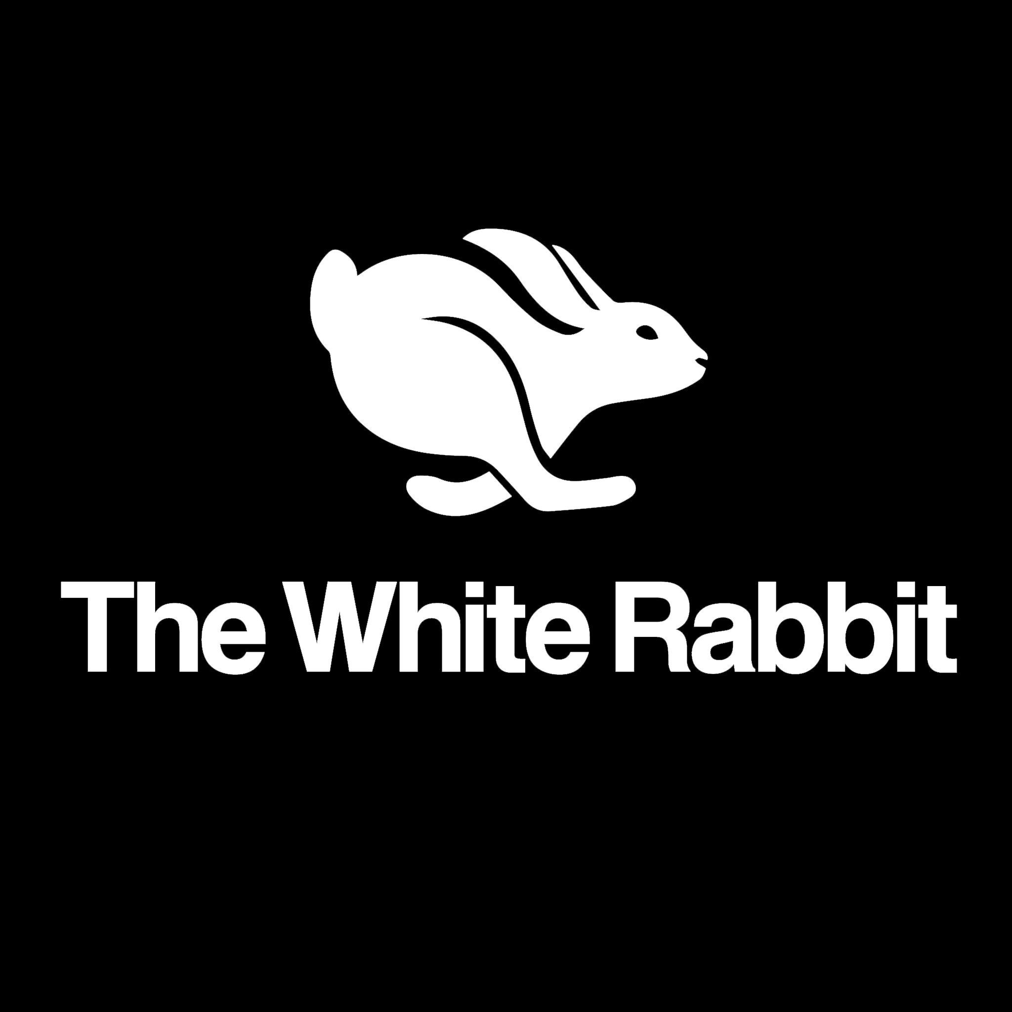 The White Rabbit @ Water Street - Asheville, NC 28801 - (828)280-6162 | ShowMeLocal.com