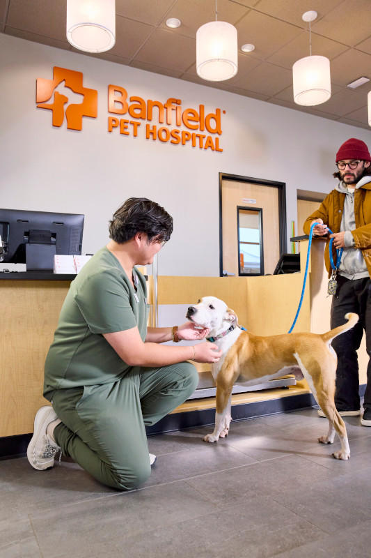 Banfield pet best sale hospital arundel mills