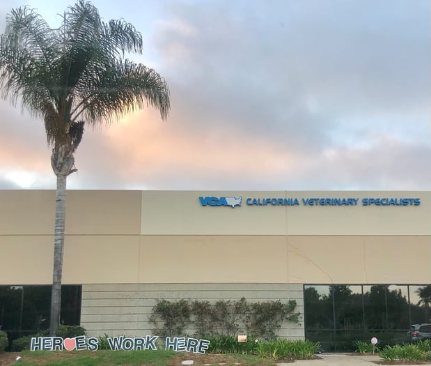 Images VCA California Veterinary Specialists-Carlsbad