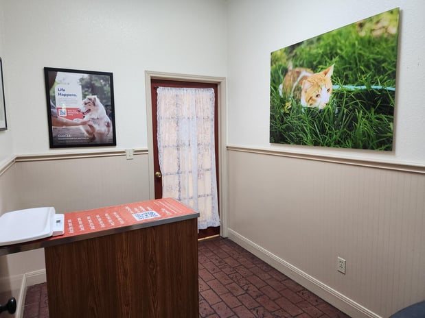 Images VCA Lakeline Animal Hospital