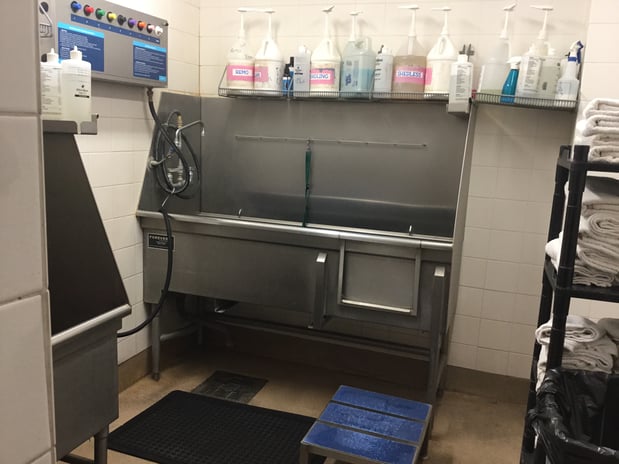 Images Petco Grooming