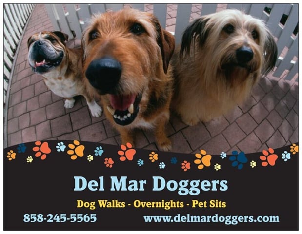 Images Del Mar Doggers dog walking, dog sitting, overnight stays