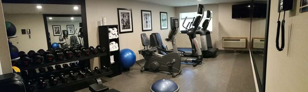 Best Western Plus Langley Inn à Langley: Fitness Center