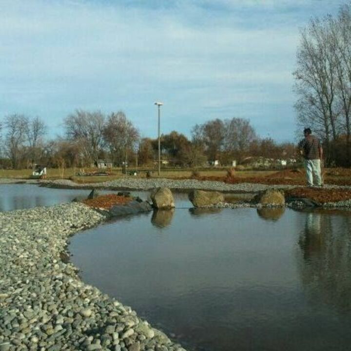 Images Mario's Yard Care