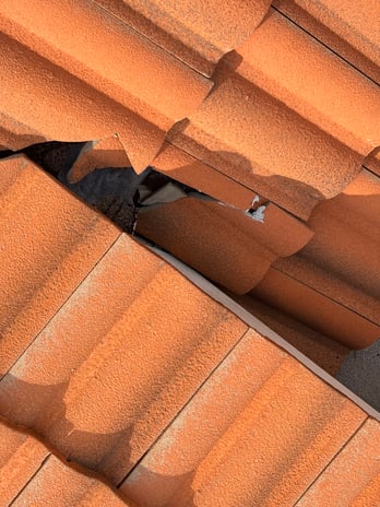 Images Red Pros Roofing, Inc
