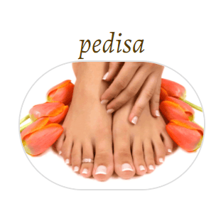 Pedisa Logo