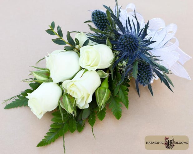 Images Harmonic Blooms
