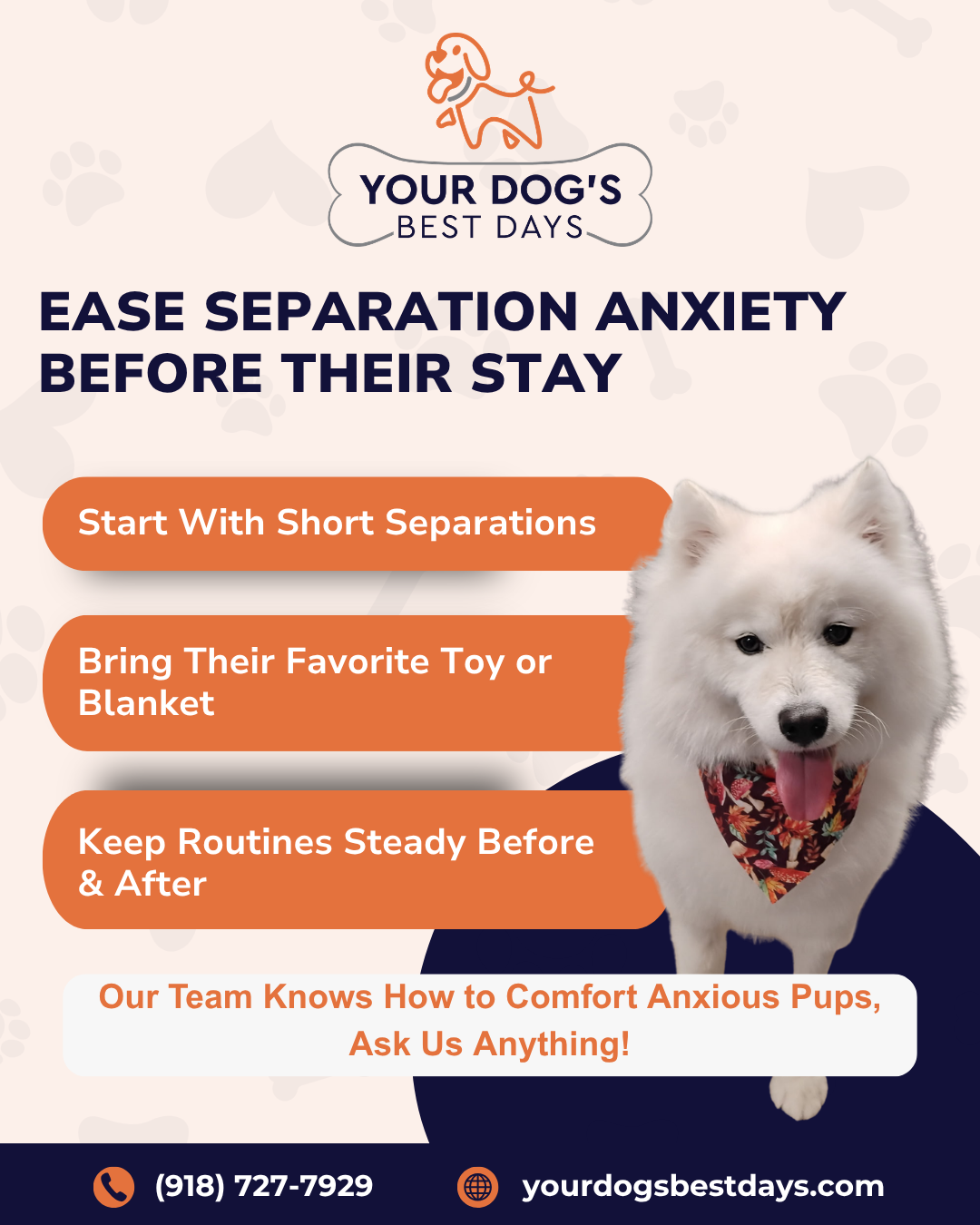 Your Dog’s Best Days branded tip graphic shares ways to ease separation anxiety before a dog boarding stay.