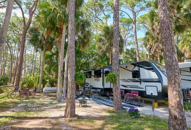 Images Encore Royal Coachman