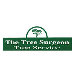 The Tree Surgeon