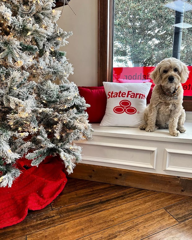 Images JennaLynn Drake - State Farm Insurance Agent