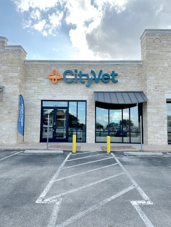 Images CityVet Veterinary Clinic & Urgent Care