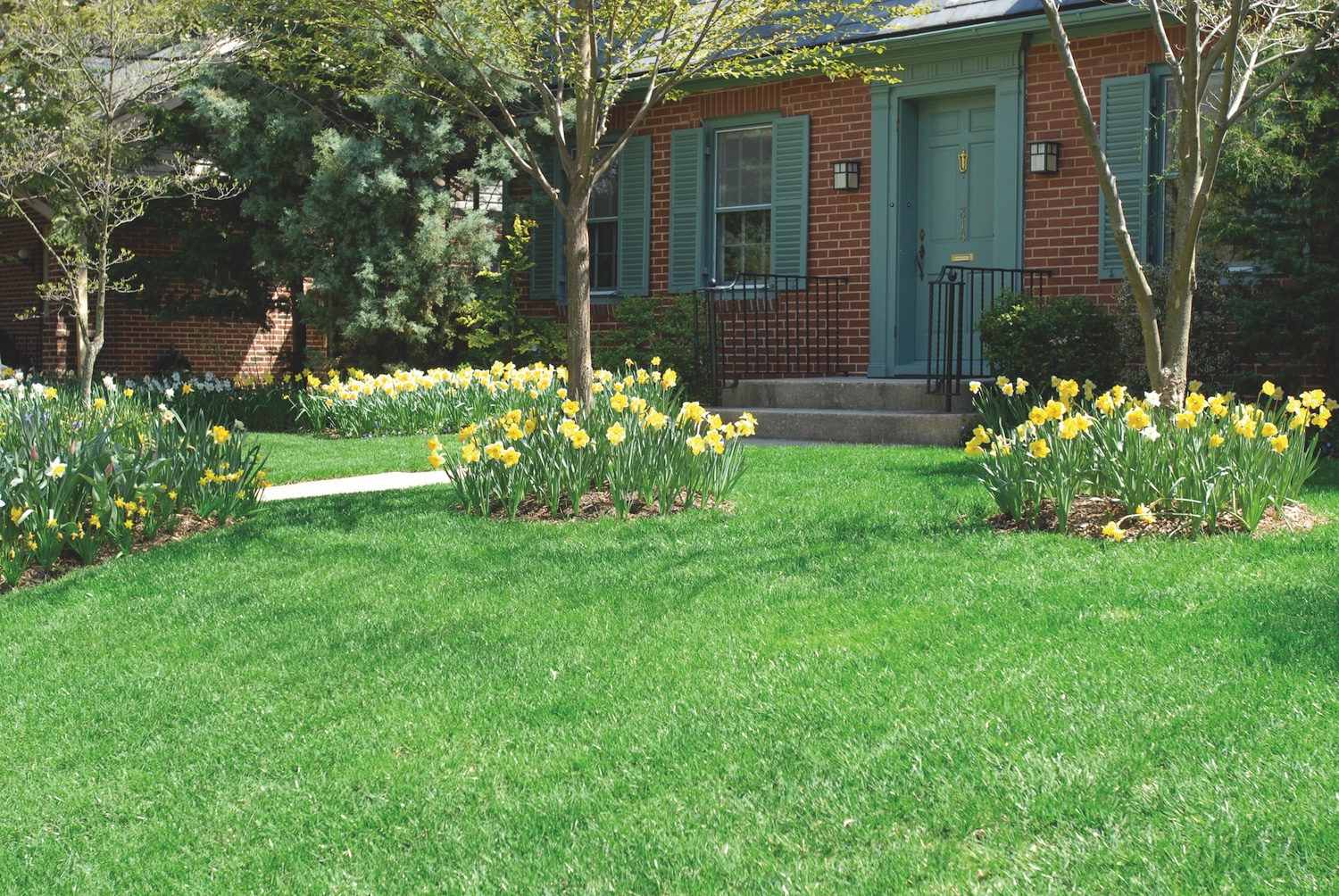 NaturaLawn of America Image