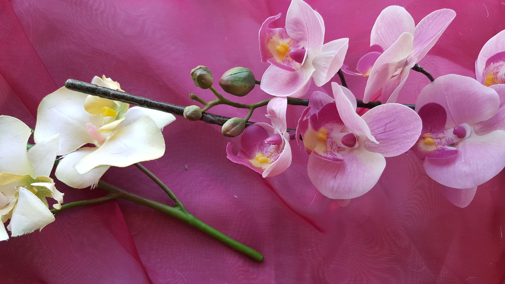 Coiffure Sunshine, Bernstrasse 22 in Flamatt