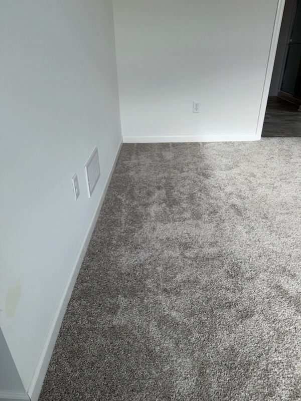 Images Zam EP Carpet and Flooring