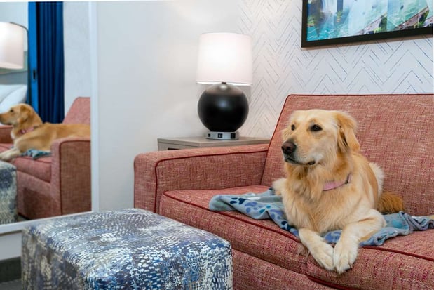 Images Home2 Suites by Hilton Buffalo Airport/Galleria Mall
