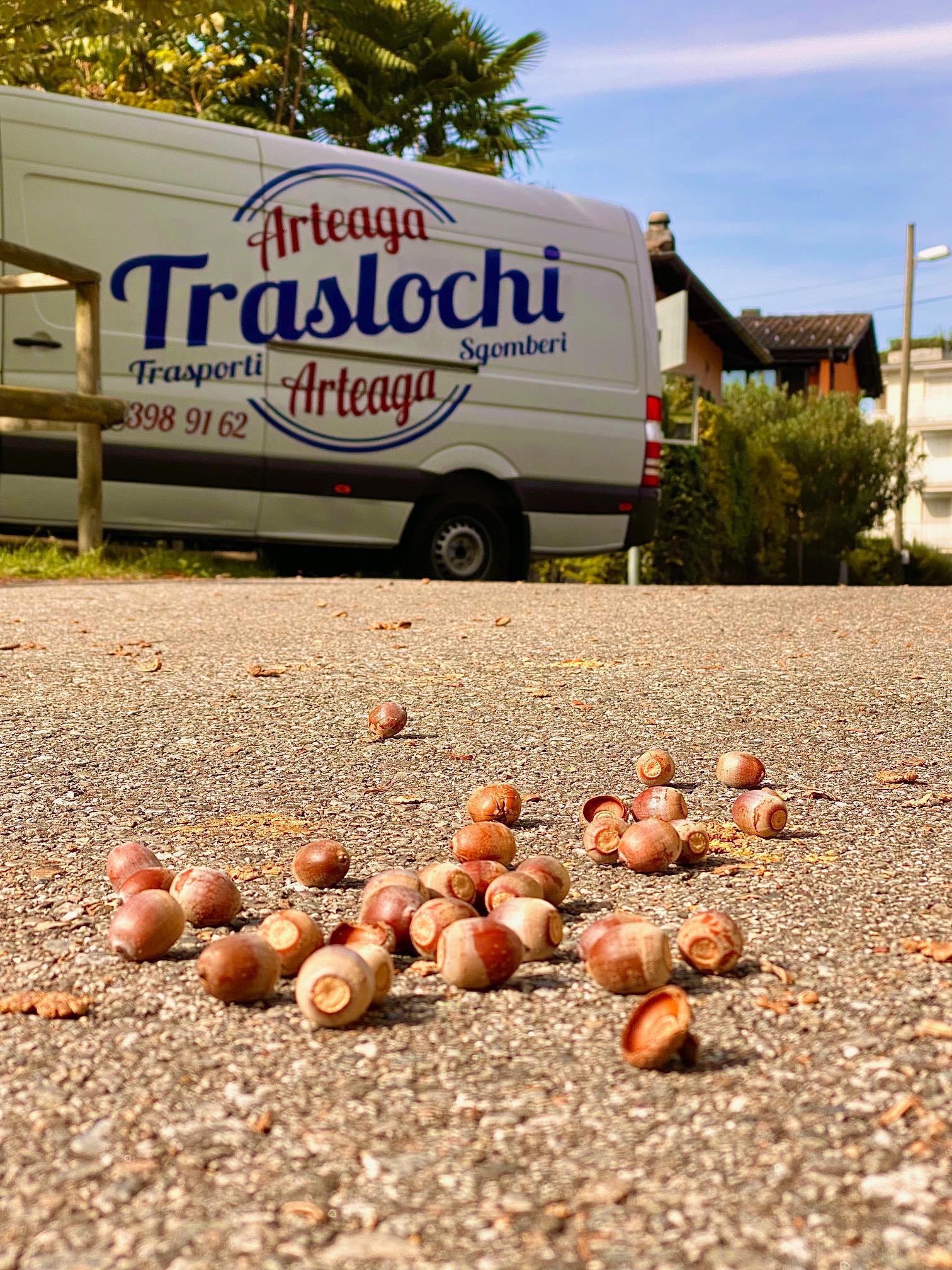 Bilder Arteaga Traslochi