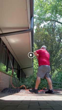 Images Shine of Charlotte