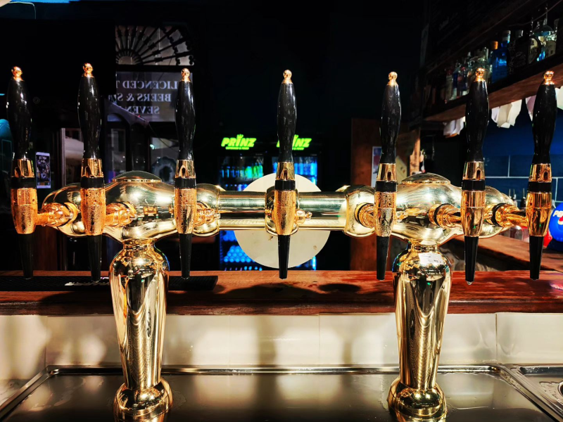 Images Grizzly 2.0 Pub