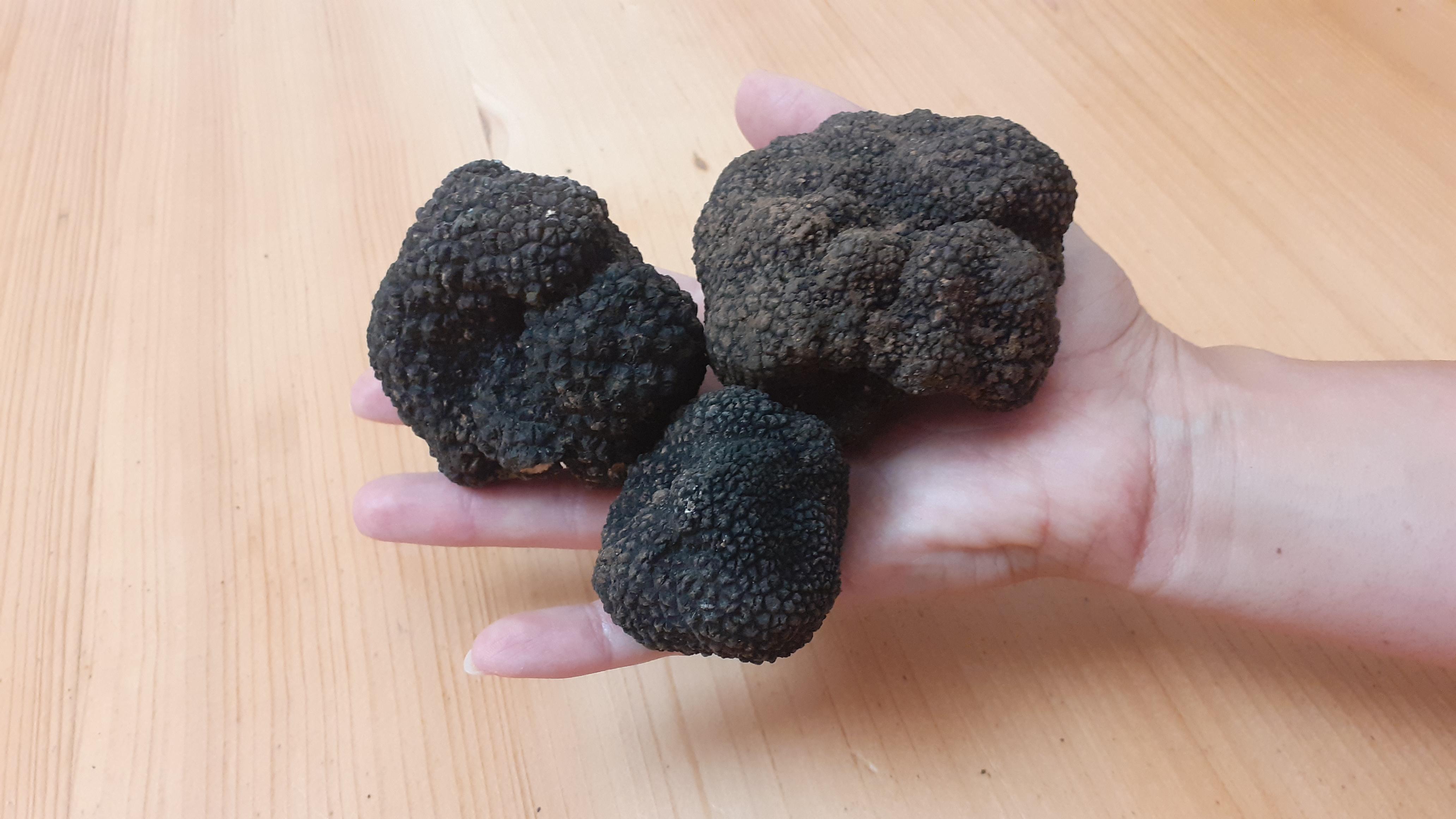 Trüffelhang.at, Markt 25 in Schenkenfelden