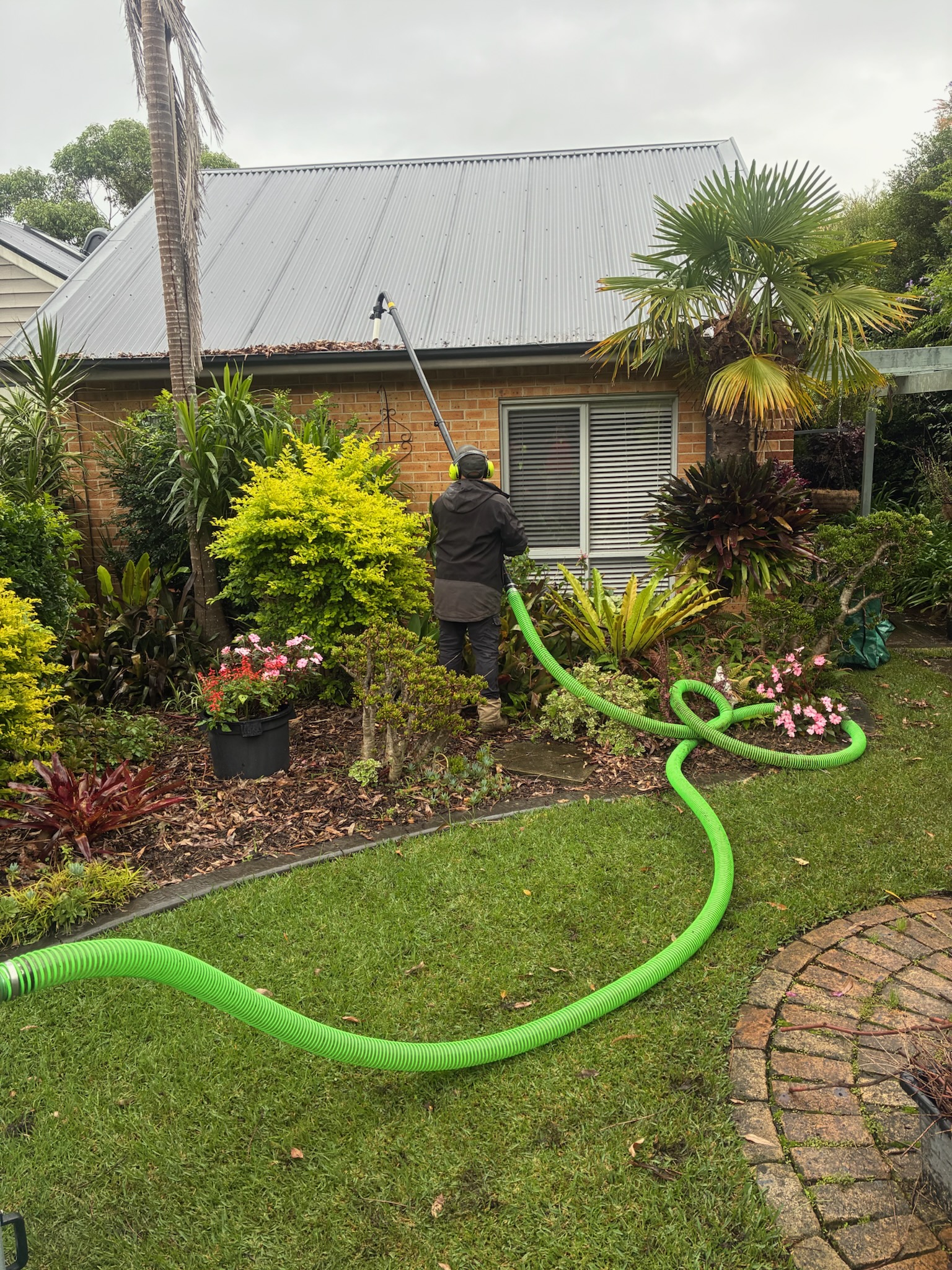 Images Oasis Lawns & Gardens