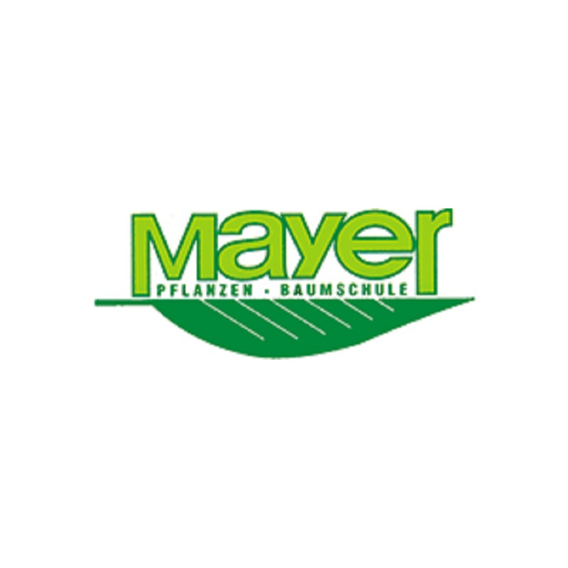 Mayer GmbH Pflanzen - Baumschule Logo