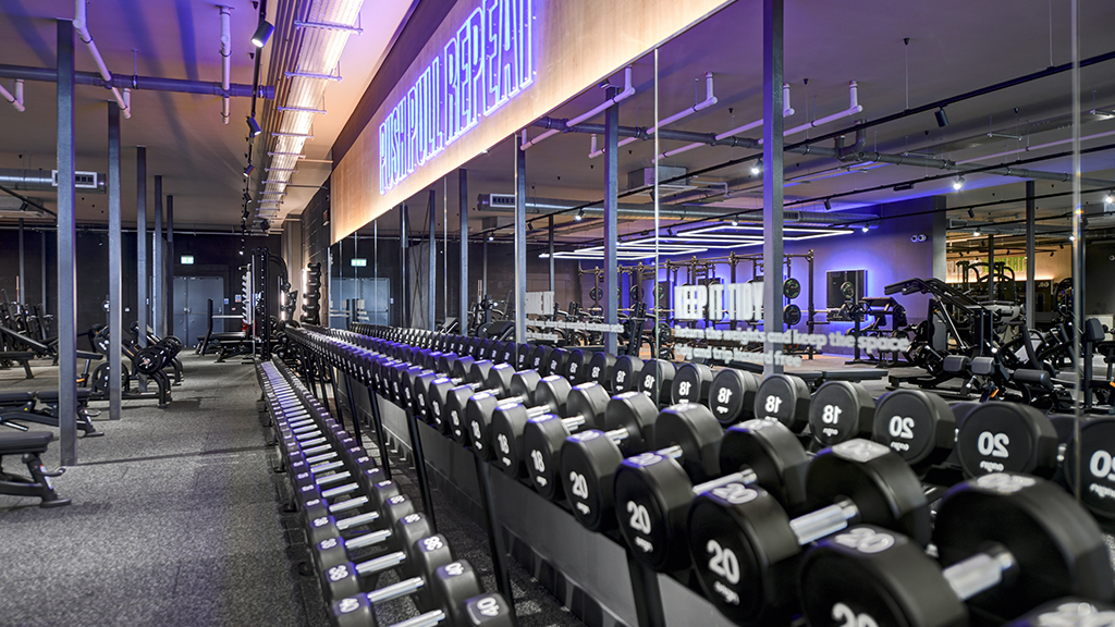 Free Weights Area