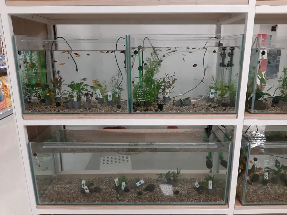 Bianca's Tierparadies, Thallerstraße 4 in Feldbach