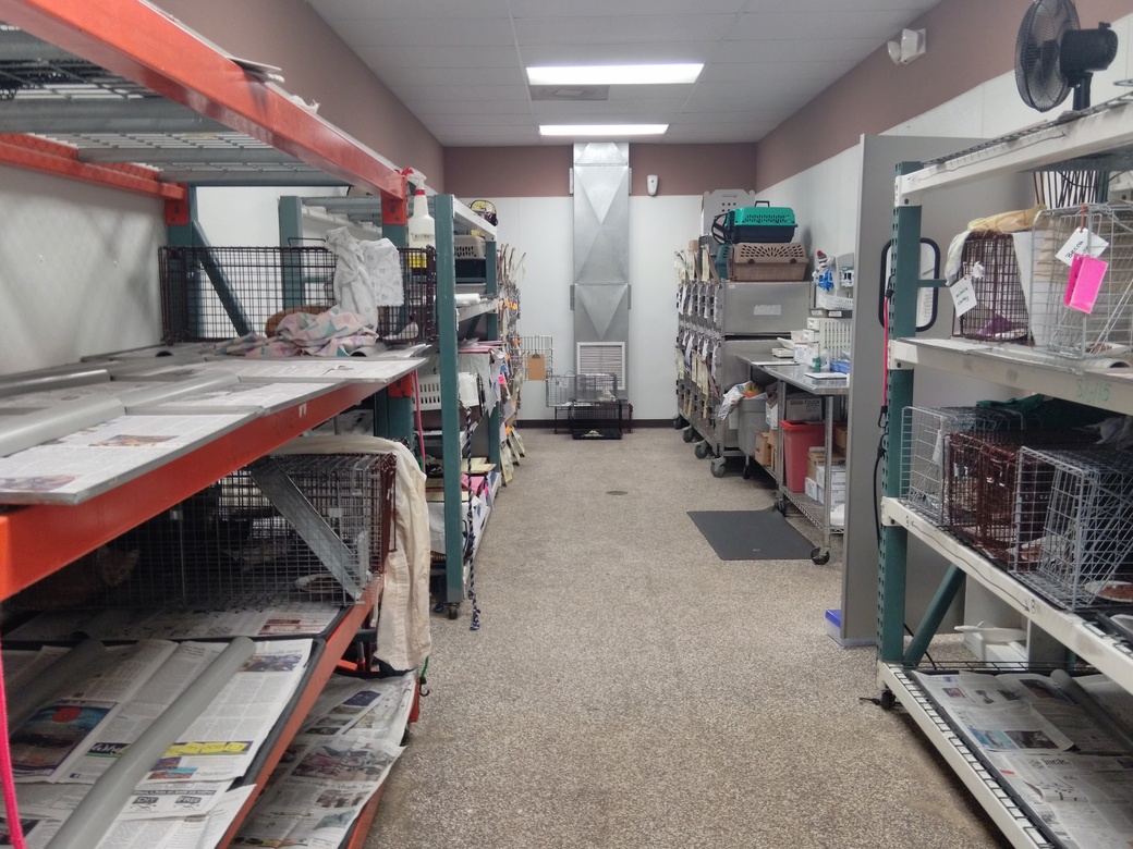 First Coast No More Homeless Pets in Jacksonville, FL (Animal Shelter