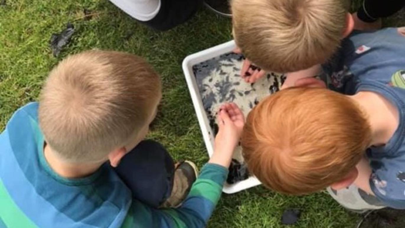 Images Blåbjerg Børneunivers