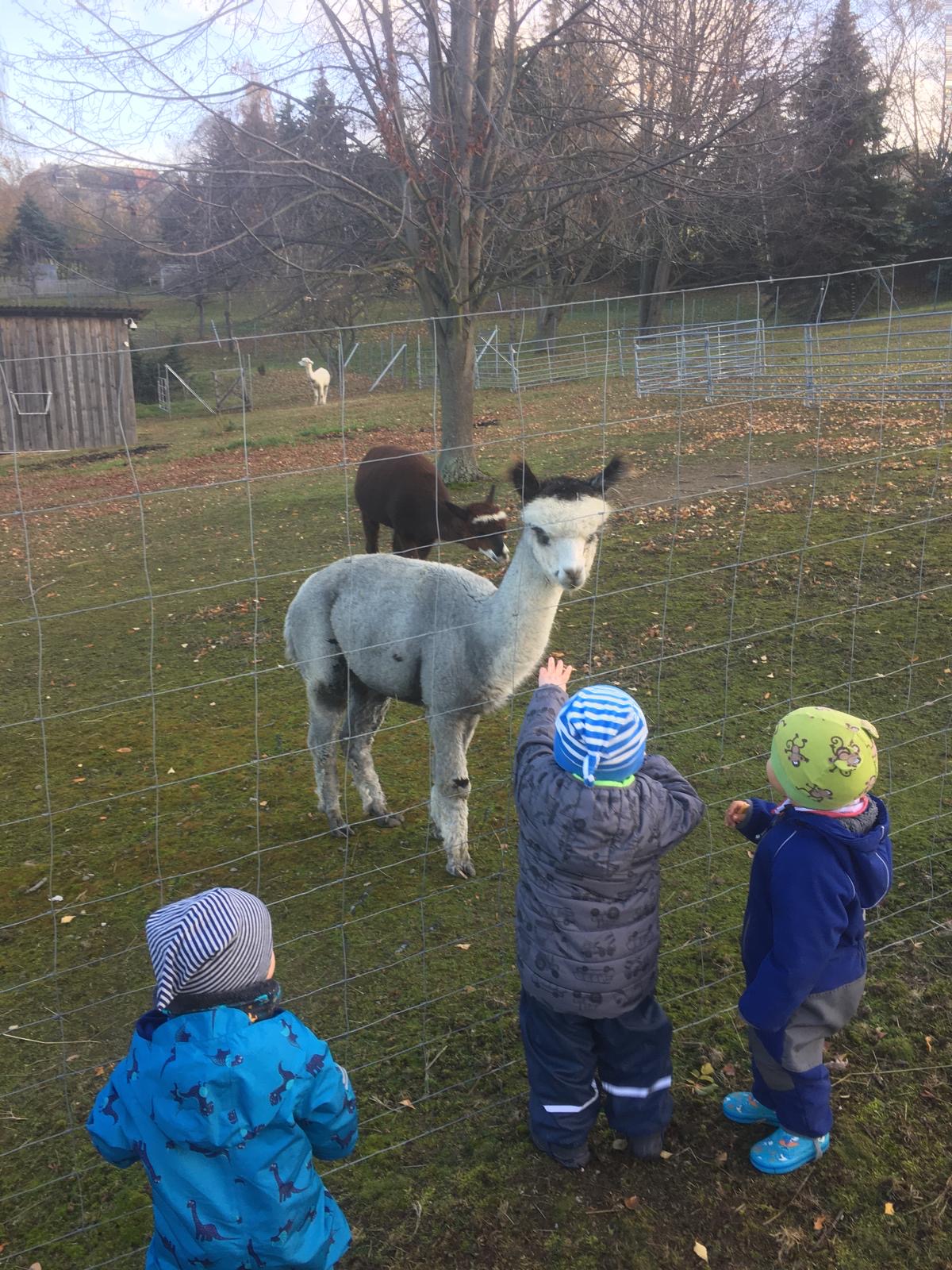 Kinderstube Klitzeklein Tagesmutter Silke Bochmann, Schloßberg 13 in Stollberg