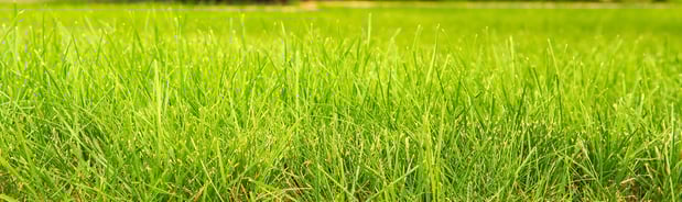 Images Pittsburgh Hydroseeding