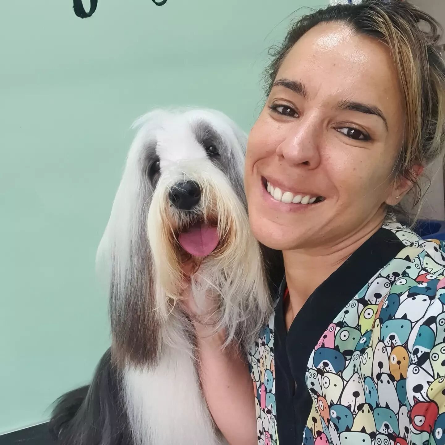 Images The Black Poodle Groom & Care S.L.