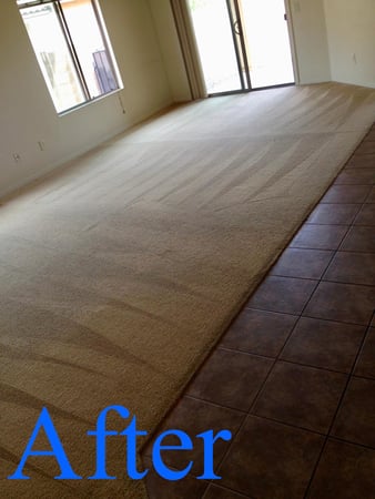 Images Real Clean Carpet & Upholstery Cleaning