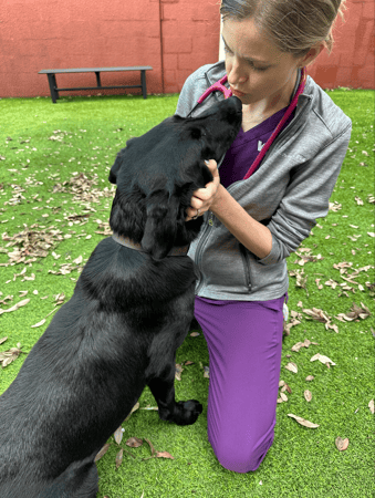 Images VCA Preston Park Animal Hospital