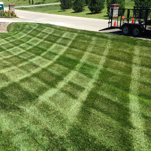 Images Elite Landscape Solutions LLC