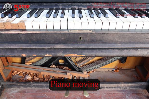 Images 5 Star Movers LLC - Bronx Moving Company