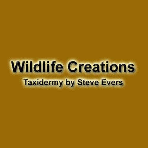 Wildlife Creations Taxidermy Logo
