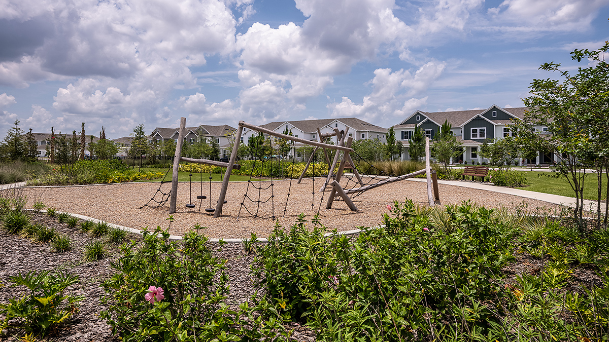 Harvest at Ovation - Taylor Morrison Image