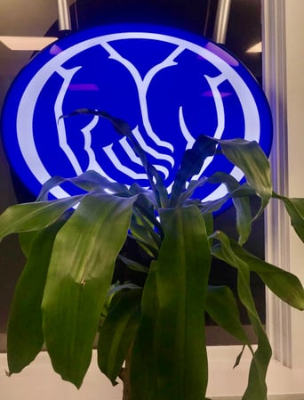 Images Don Castaldo: Allstate Insurance