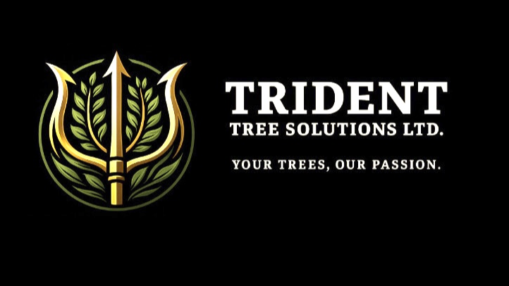 Images Trident Tree Solutions Ltd.