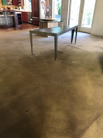 Images Carpet Pro Carpet Cleaning & Dyeing