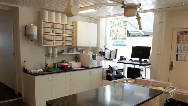 Images Fyra Ben Smådjursklinik