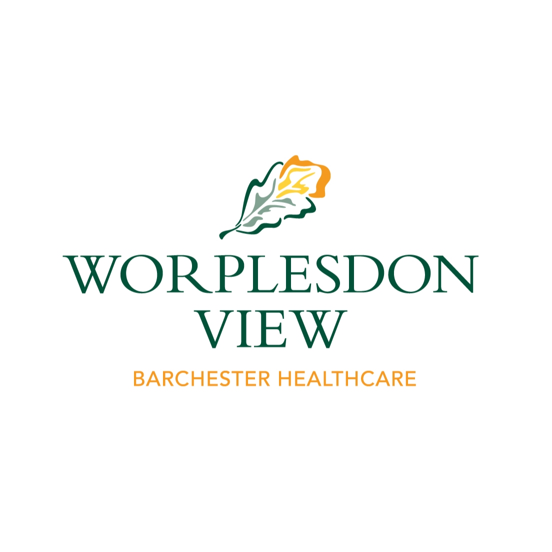 company logo