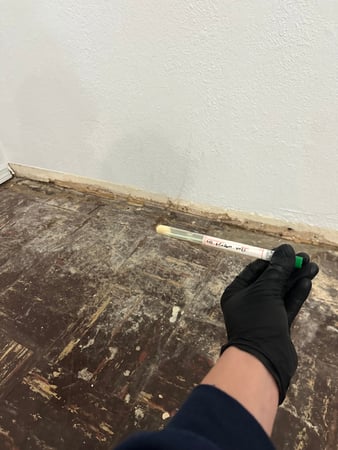 Images 24H Mold Inspection of Harbor City