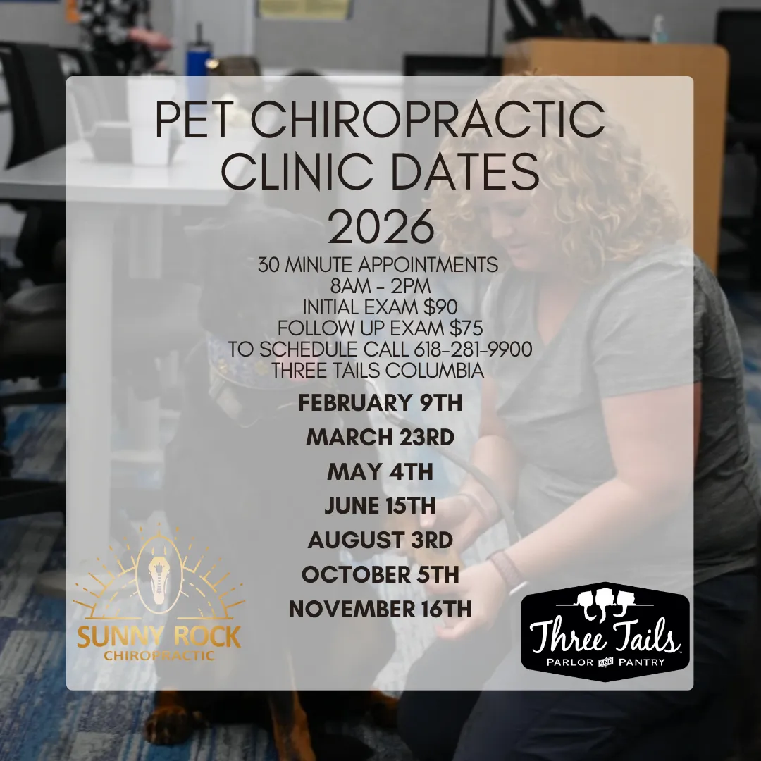 Image of Local Pet Event February Chiropractic Clinic Nearby